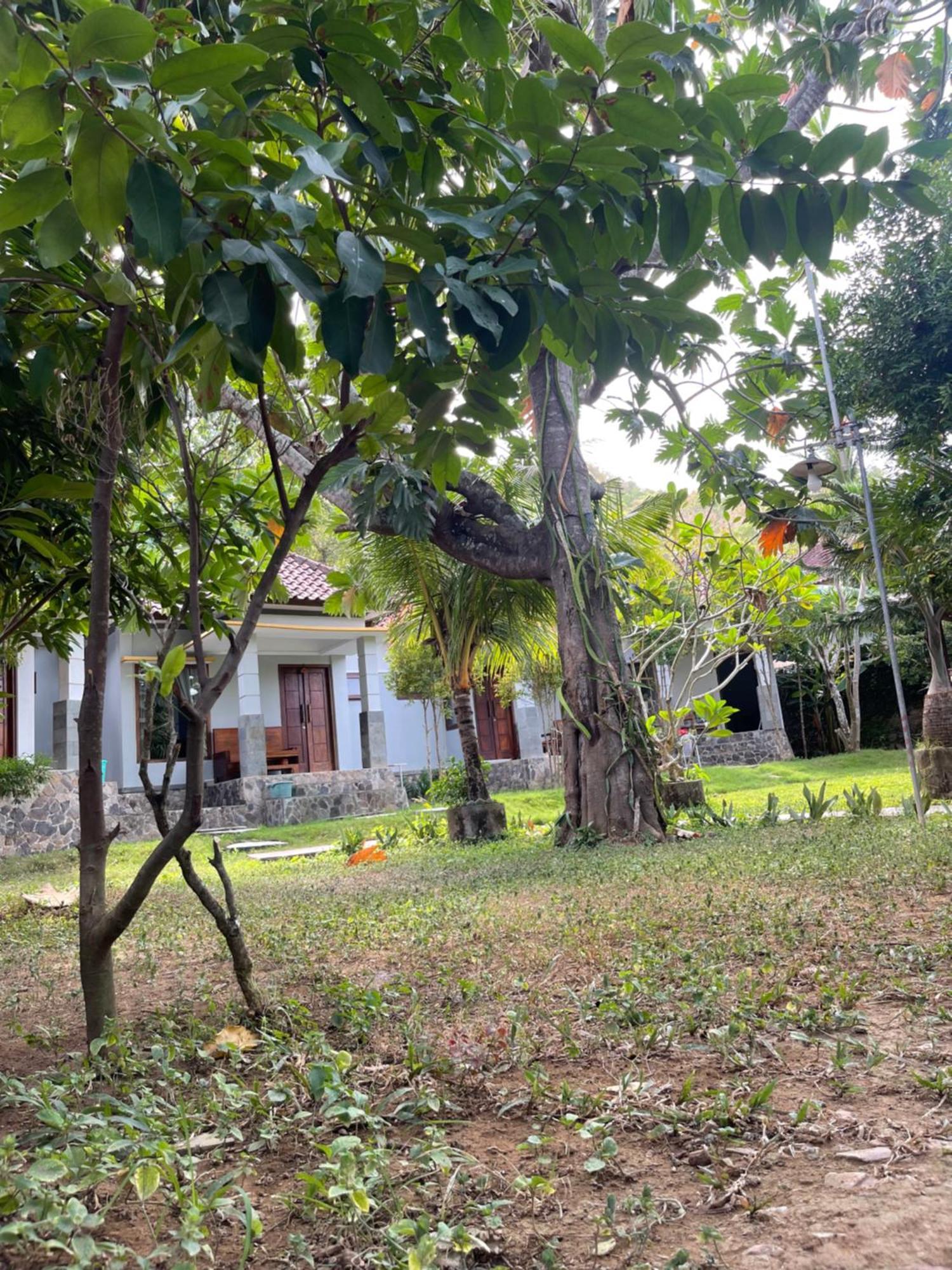 Tri Putri Homestay Kuta  Экстерьер фото